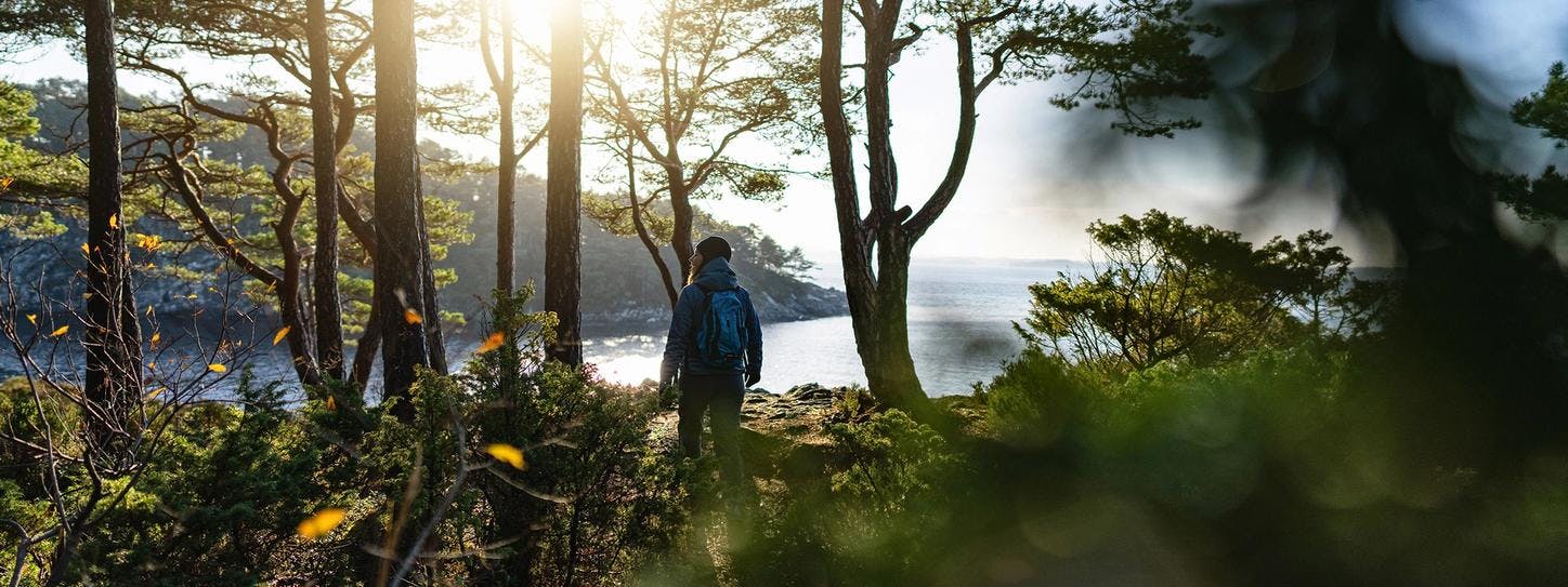 Kvinde der vandrer i norsk  efterårsskov med udsigt til havet